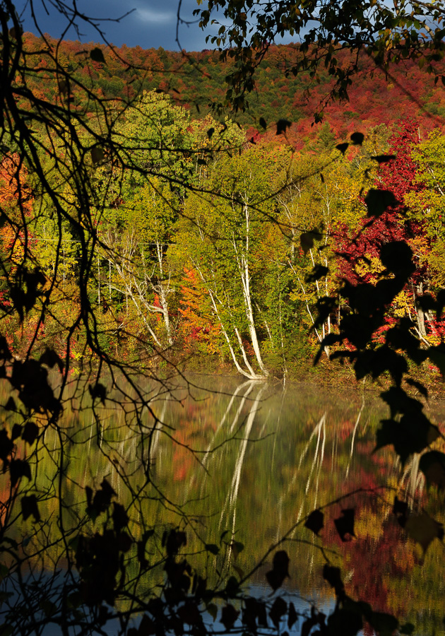 York Pond [98 mm, 1/160 Sek. bei f / 14, ISO 400]